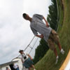 2006 Gallery Photo