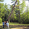 2010 Gallery