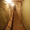 2011 Gallery