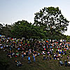 2011 Gallery