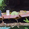 2013 Gallery
