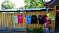 2016 Gallery