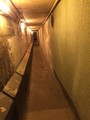 2016 Gallery