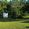 2017 Gallery