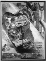 Palomar Drwaing
