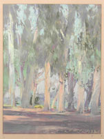 Trees in California
