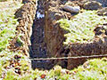 Drainage Trench