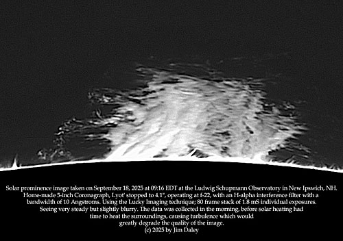 Jim Daley Prominence 5