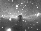Horse Head Nebula
