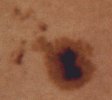 Sunspot