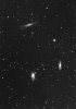 Galaxies in Leo
