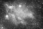 Pelican Nebula